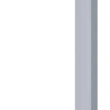 Bella - Image 2