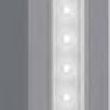 Reed - Image 4